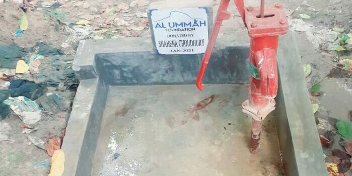 Hand water pump – Dhulcatol – Nobiganj – Bangladesh