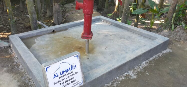 Hand water pump –  Nowdher- Purbo Para – Boiragi Bazaar – Bangladesh