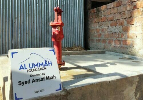 Hand water pump: Majgow, Singerkach bazar, Biswanath, Sylhet ,Bangladesh