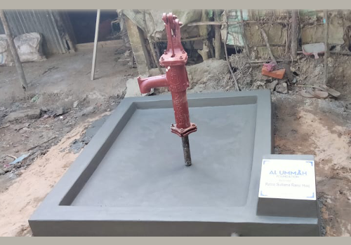Hand water pump – Banipur, Nowkakhali, Joynagar, Sunamganj, Bangladesh