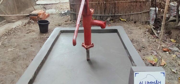 Hand water pump: Anondo Nogor, Badanpur, Sunamganj, Bangladesh